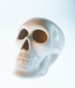 calavera ceeramica :: #