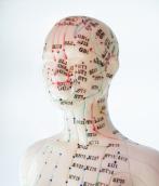 cuerpo humano chino mujer :: #