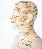 cuerpo humano chino hombre :: #