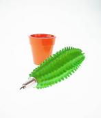 birome cactus :: #