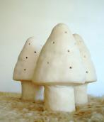 petit champignons :: #