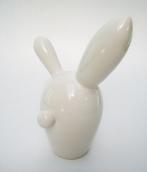 conejo 2 :: #