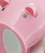 chanchito parlante y radio fm :: #