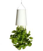 boskke sky planter xsmall :: #