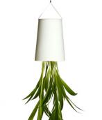 boskke sky planter small :: #