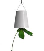 boskke sky planter medium :: #