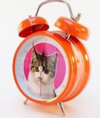 reloj despertador gato :: #